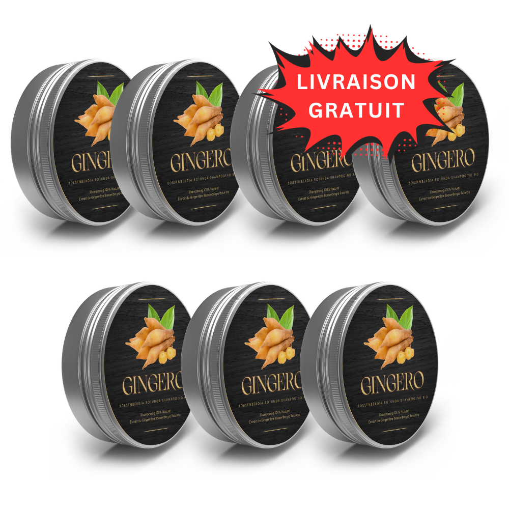 GINGERO™ Barre de Shampooing au Gingembre Boesenbergia Rotunda Bio